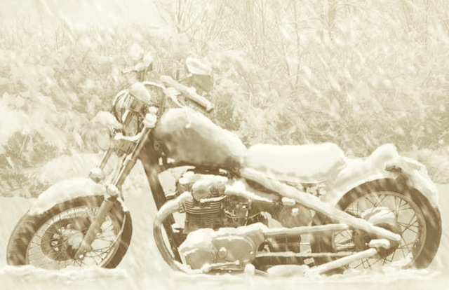Looking for secure storage for your Harley or motorcycle?