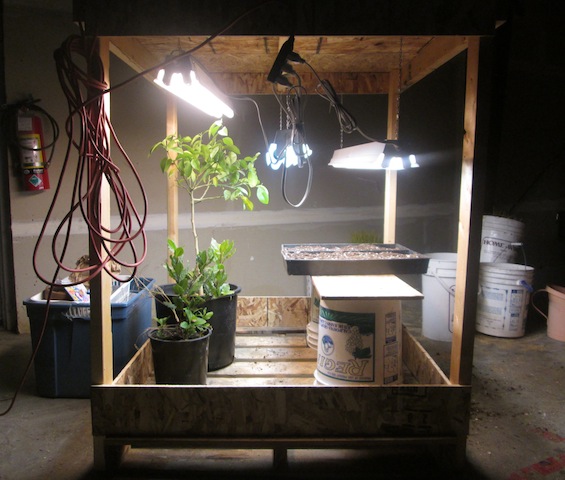 Living the Life: Mobile Light System