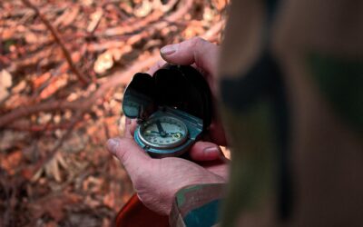 Smart Survival: How to Store the Essentials That Truly Matter